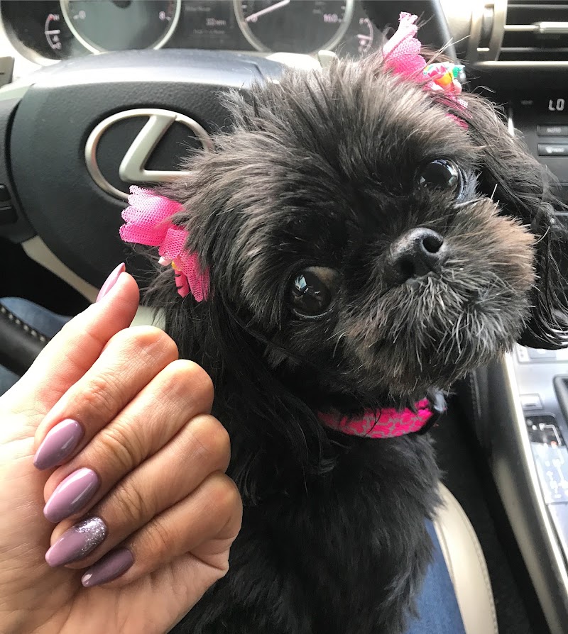 Sun Nails, nail salon in Milford, CT, photo 5 of 10
